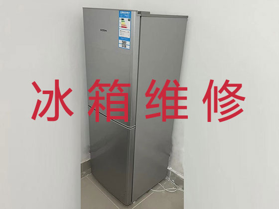 广州电冰箱维修服务
